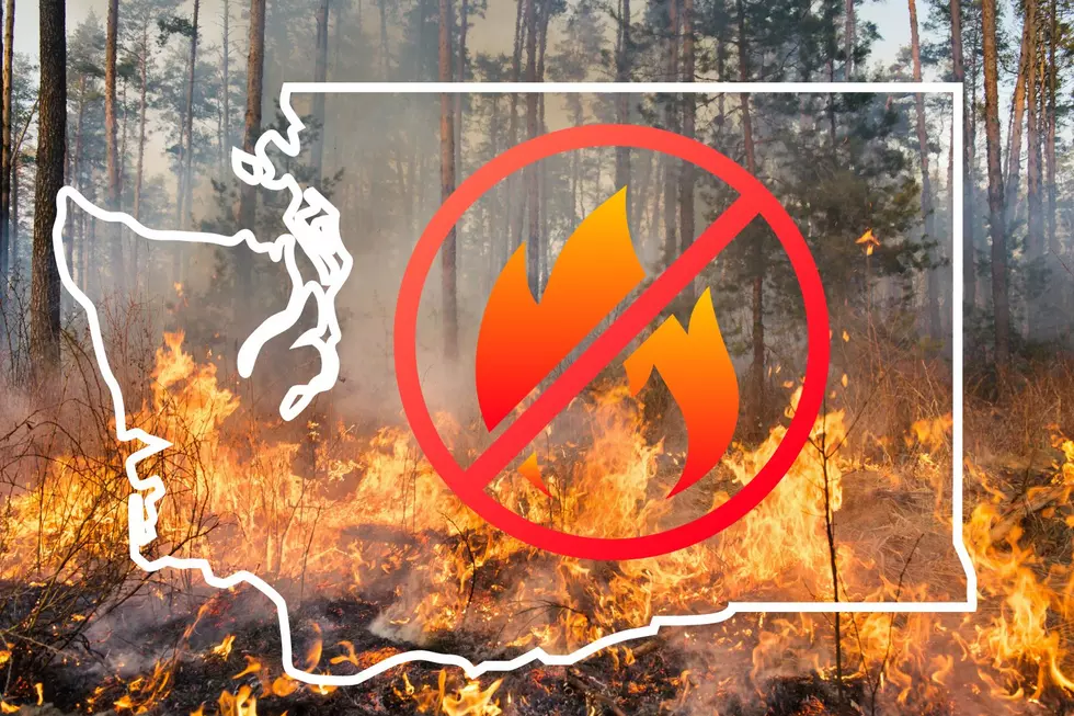 What is the Washington State Burning Guideline?