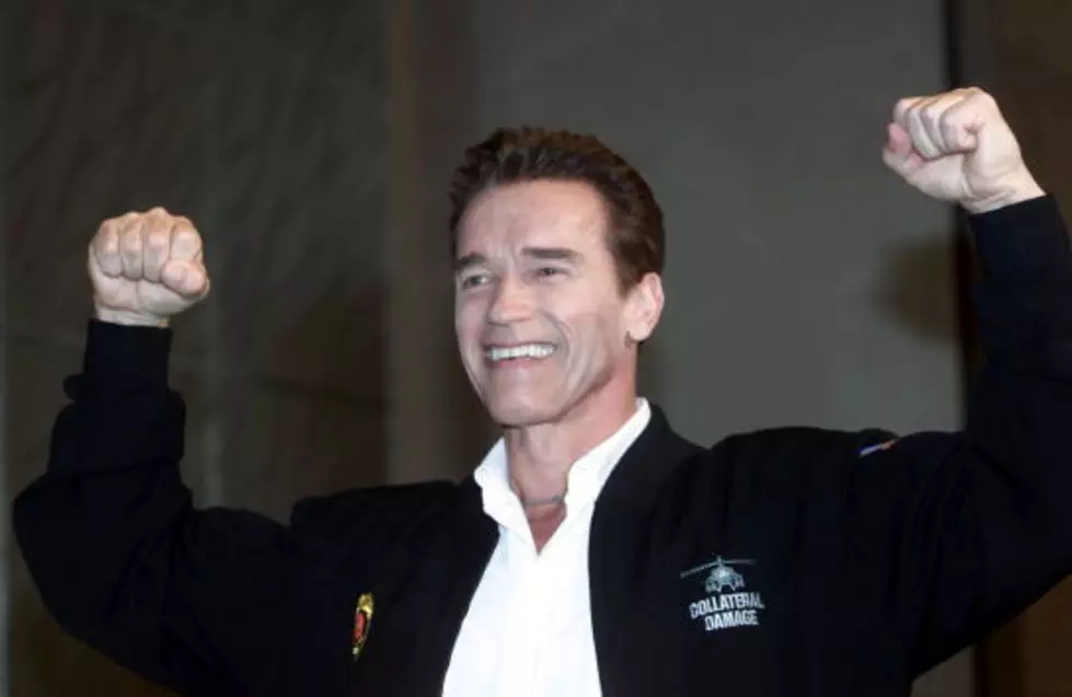 Schwarzenegger To Return To Acting