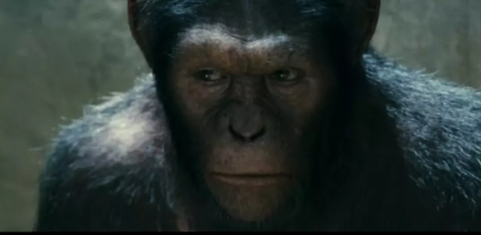 The Rise Of The Planet Of The Apes [VIDEO]