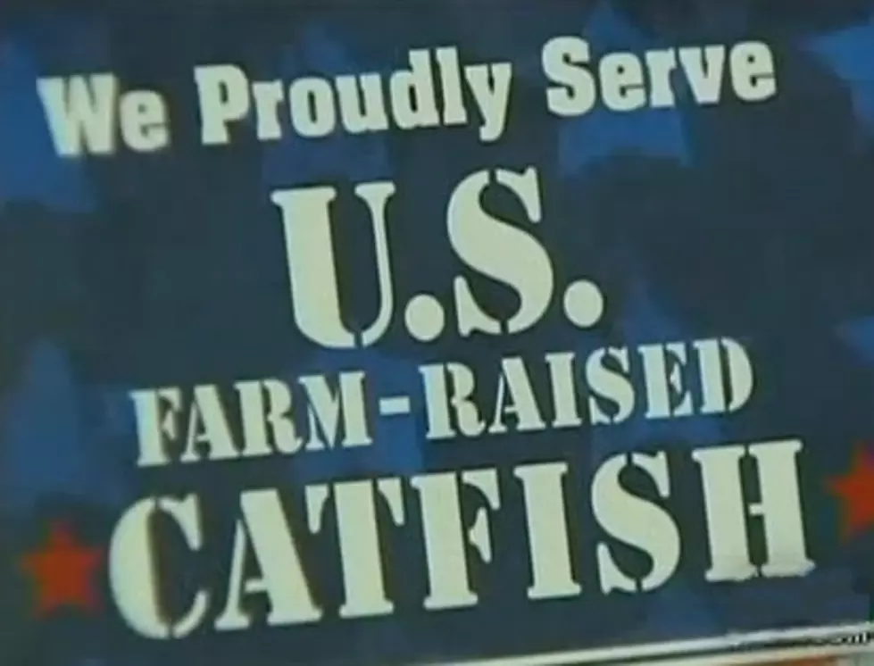 Catfish Shortage Forces Restaurants To Change Their Menu [VIDEO]