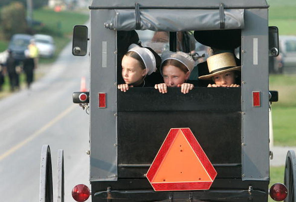 8 Amish Men Behind Bars For Not Having Buggy Safety Signage