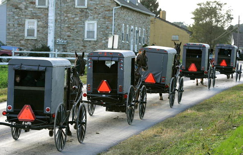 8 Amish Men Behind Bars For Not Having Buggy Safety Signage