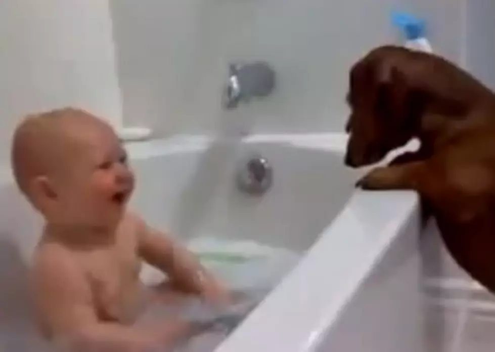 Puppy Vs. Mirror, Baby Bath Time, Invisible Glass Door -Shay&#8217;s Top 3 Weekly Viral Videos [VIDEO]