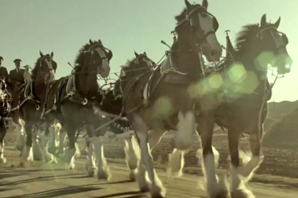 Budweiser Brings Back the Iconic Clydesdales for Its Super Bowl 2012 Commercial [VIDEO]