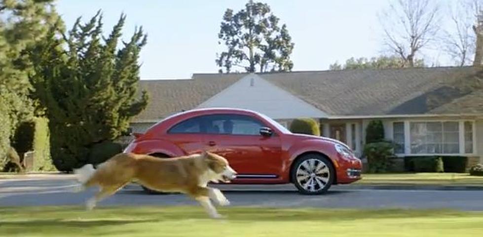 Dog vs. Volkswagen, Old Spice/Bounce, Kristin Bell’s Sloth Obsession-Shay’s Top 3 Weekly Viral Videos [VIDEO]