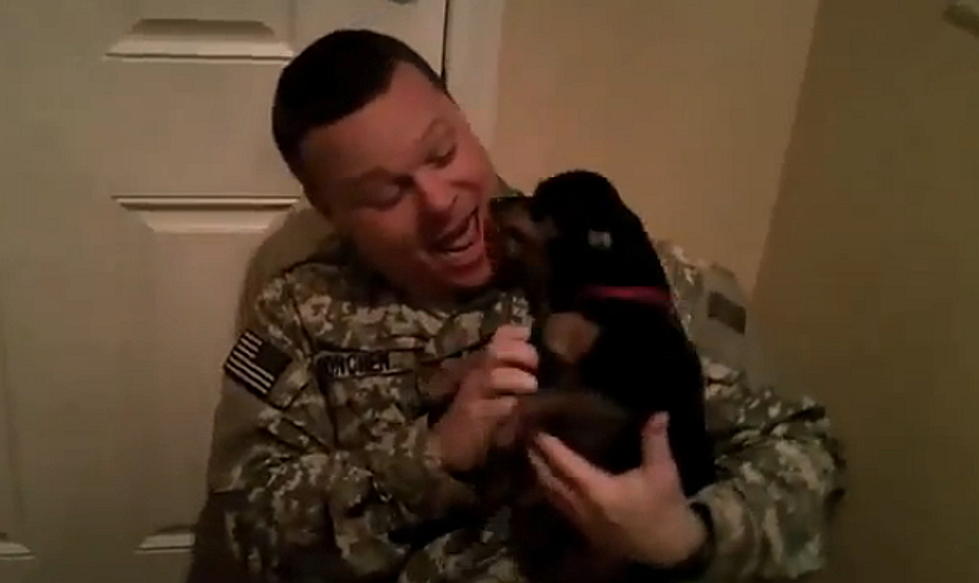 Dogs Welcome Home Their Deployed Owners [VIDEO]