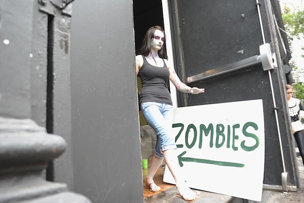 Police Catch Reckless Driver Thanks to ‘Zombie’ License Plate