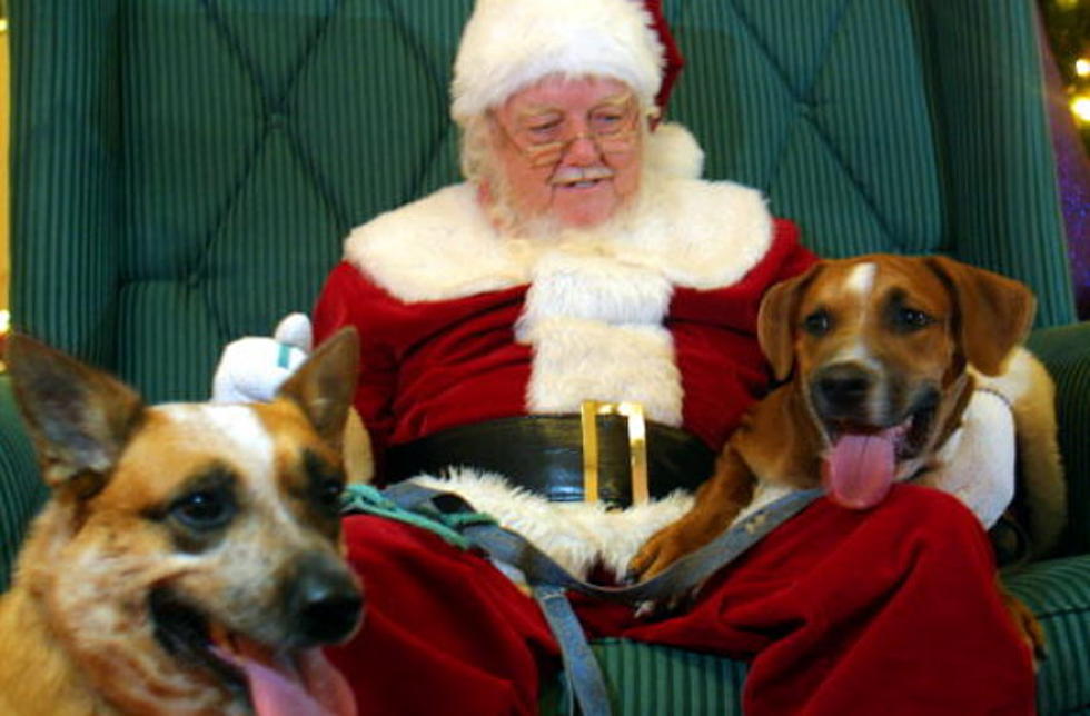 Santa Claus has a Special Pet Night at the Mall Of Abilene on December 11th [VIDEO]