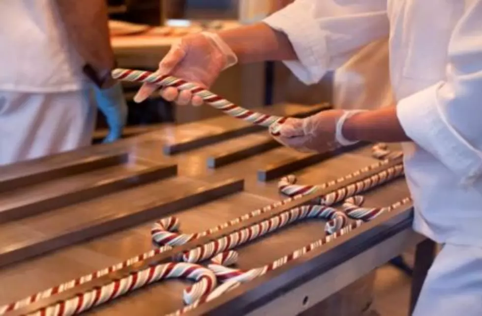 The Legend of the Candy Cane &#8211; True or False?  [VIDEO]