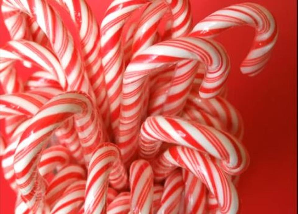 The Legend of the Candy Cane – True or False?  [VIDEO]