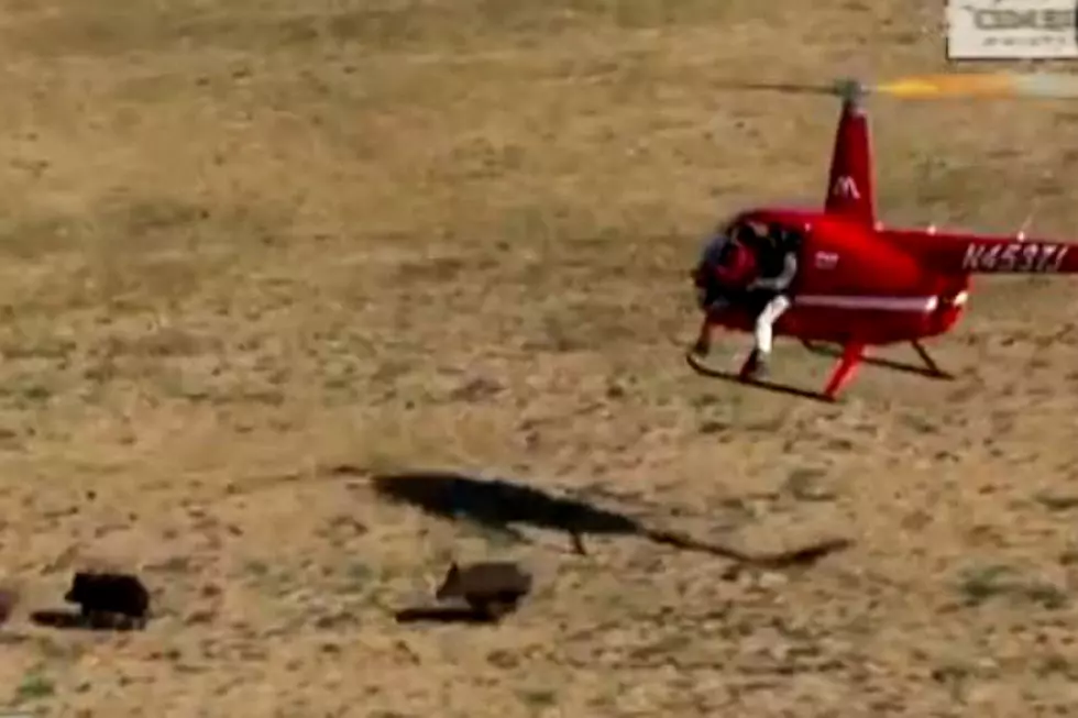 Hog Hunting From a Helicopter Looks Like Fun