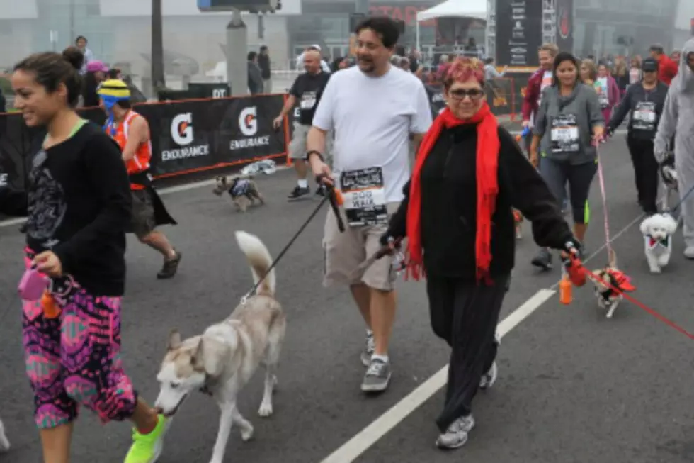 Join the Jane Hill 5k Run &#038; 1 Mile Walk for Rescue the Animals