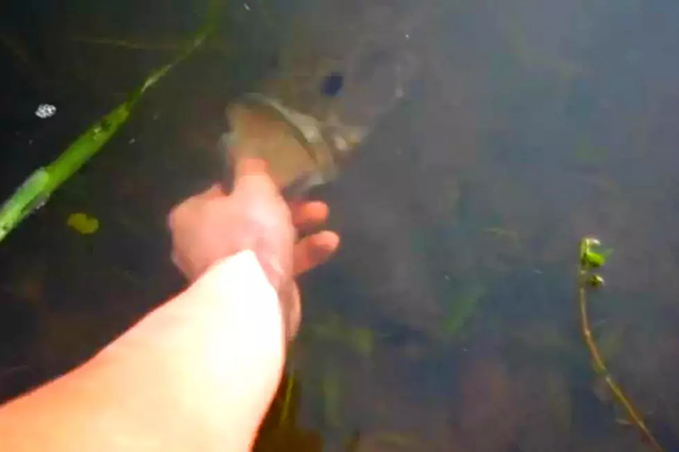 Watch a Kid Catch Large Mouth Bass With His Bare Hands