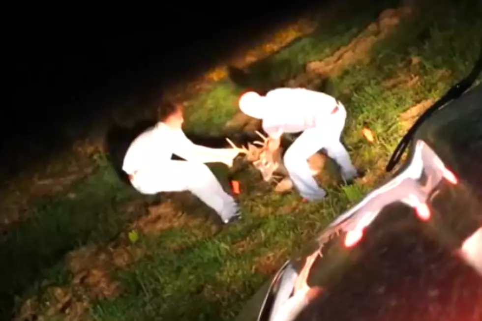 Watch Three Friends Save a Ten Point Buck From a Sinkhole