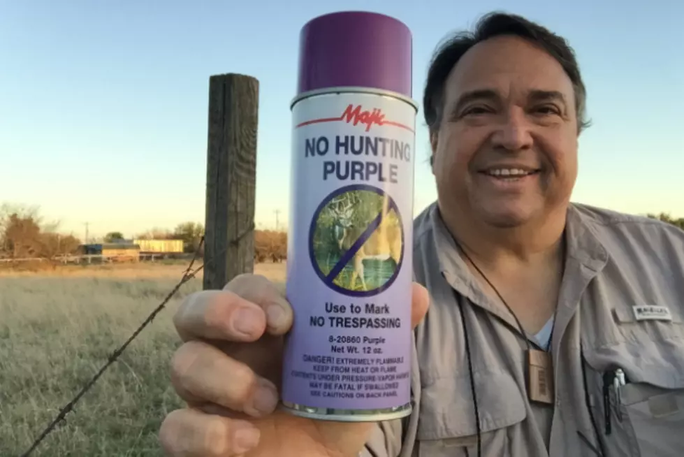 What a Painted Purple Post Means in Texas – One-Armed Outdoorsman