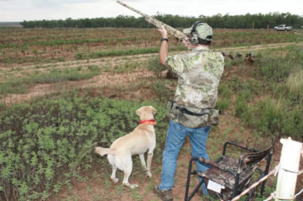 The 20th Annual West Texas Dove Classic is September 25th and 26th