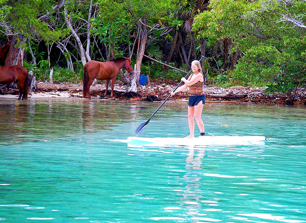 Texas Has New Paddle Boating Trails On the Coast