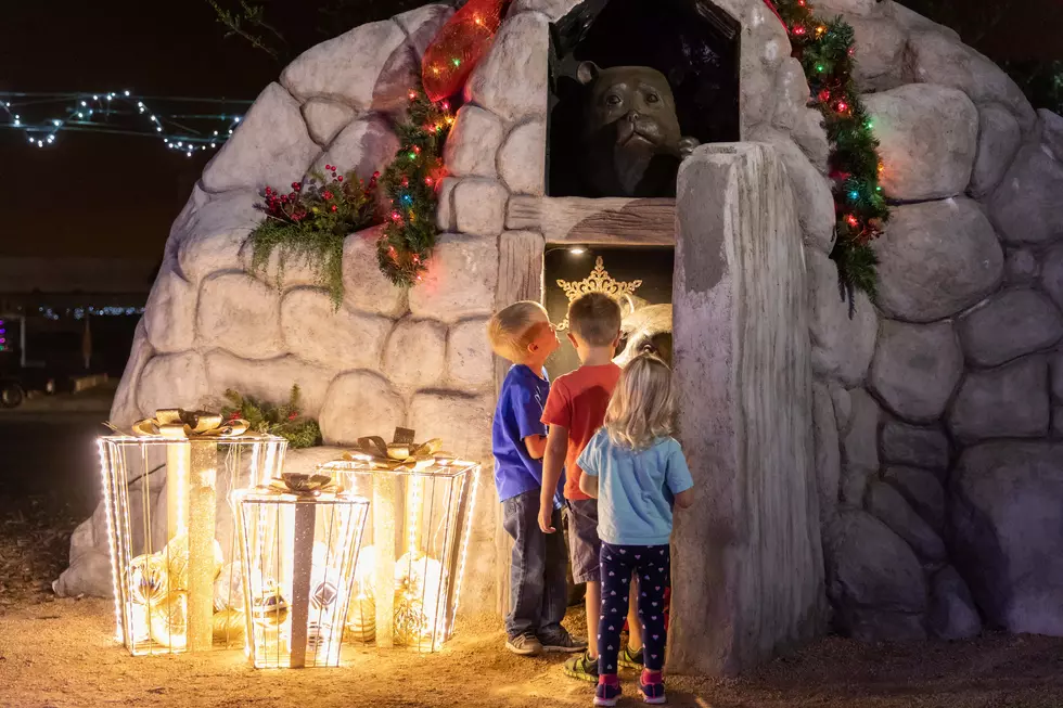 Abilene&#8217;s Cultural Affairs Council Presents Christmas in the Garden