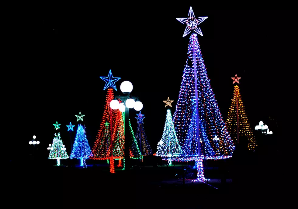 Christmas Trees Lights