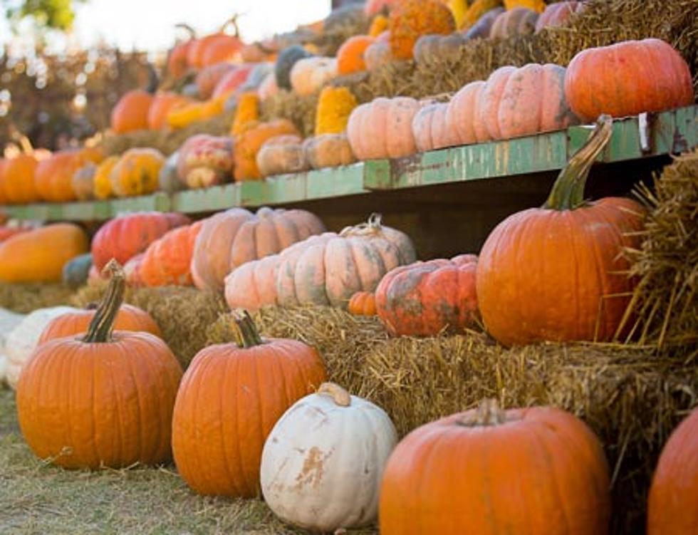 Celebrate Fall by Visiting These 10 Gourd-eous Abilene Area Pumpkin Patches