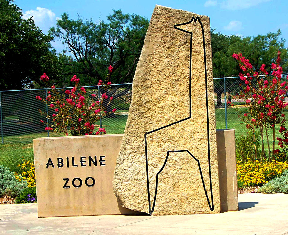 UPDATE: Abilene Zoo’s “Zoolute” Canceled Due to Wildfires