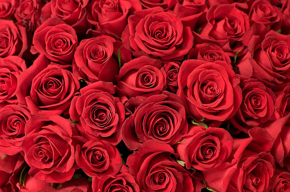 Abilene’s Favorite Valentine’s Day Florists, Flowers And Color