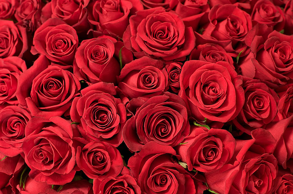 Abilene&#8217;s Favorite Valentine&#8217;s Day Florists, Flowers And Color