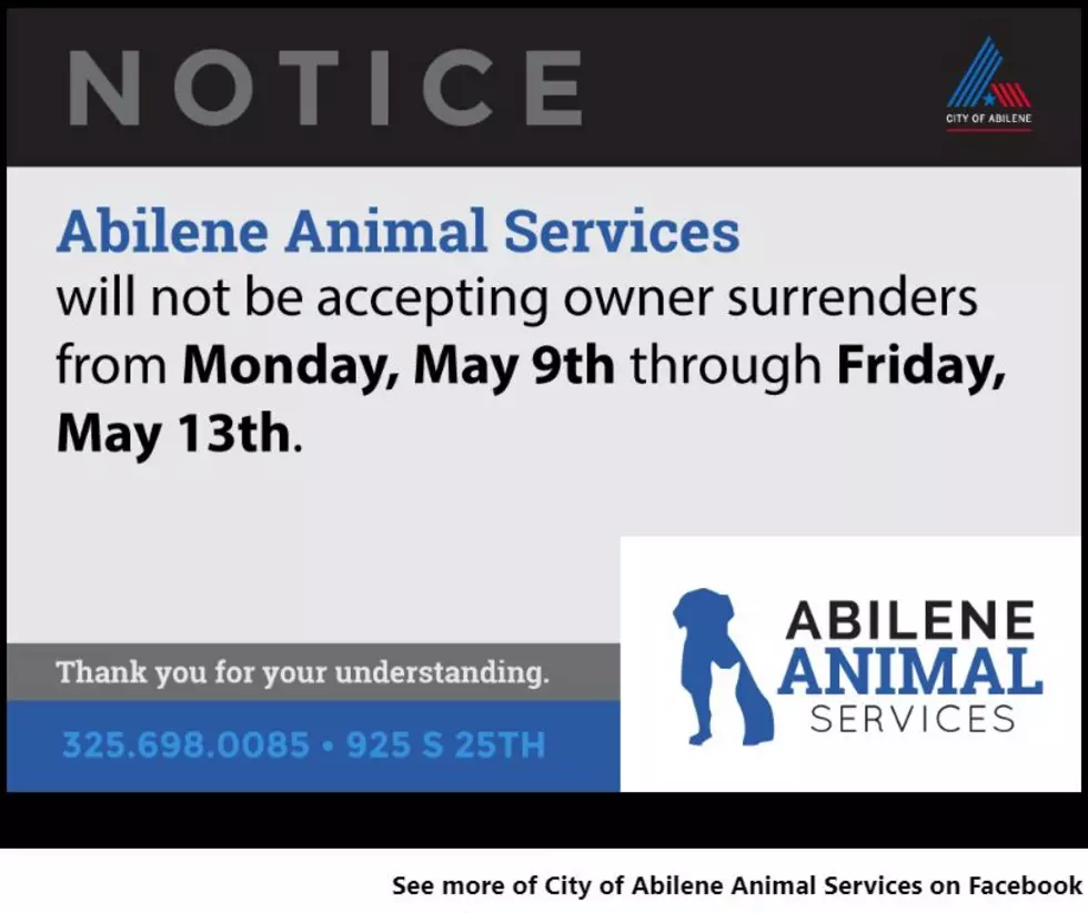 The Abilene Animal Shelter Is Not Accepting Any More Owner Surrenders