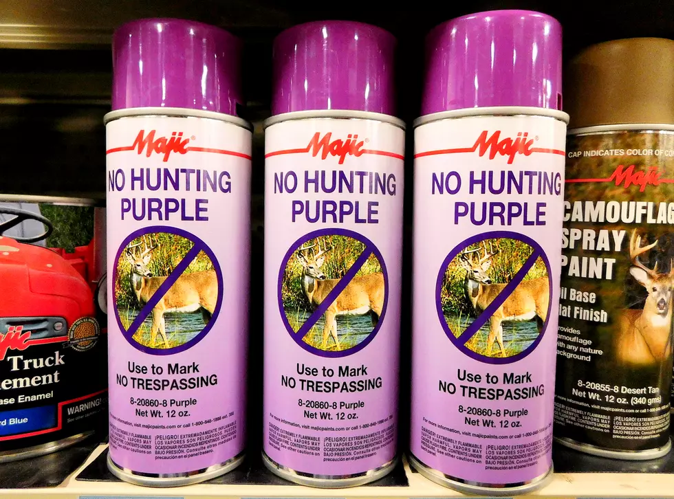 If You See Purple Paint in the Montana Wilderness, You Need to Leave