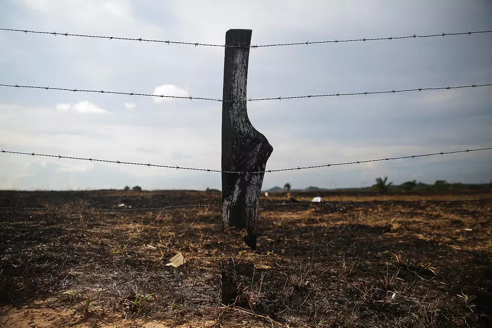 Texas A&M’s Forrest Service Offers an “After the Fire Workshop” June 29th