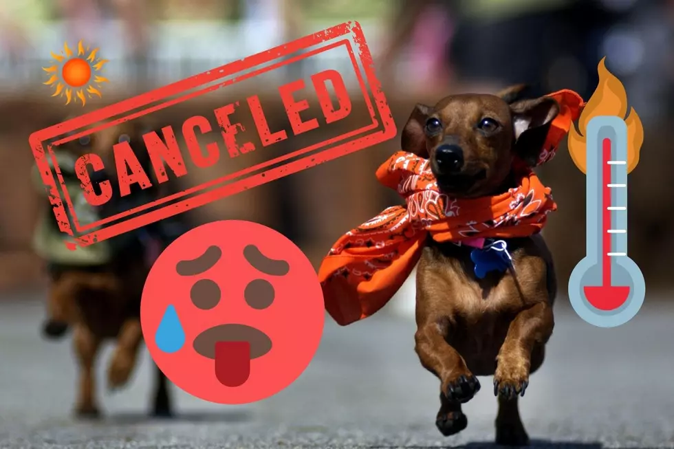 UPDATE: Abilene&#8217;s Annual Dachshund Races are CANCELED!