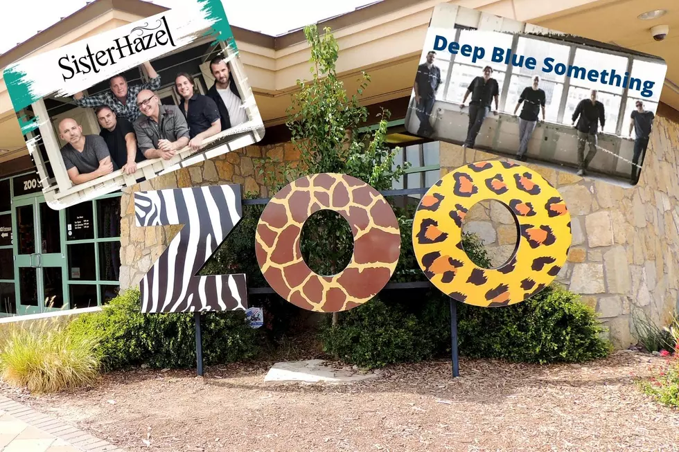 The Benefit Rock and Roar Returns to the Abilene Zoo Featuring Sister Hazel