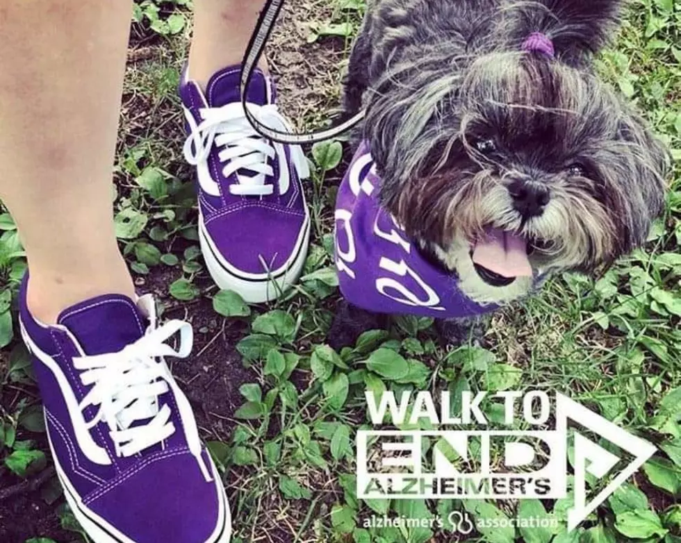 The Texas Big Country’s Official Walk to End Alzheimer’s Is Coming