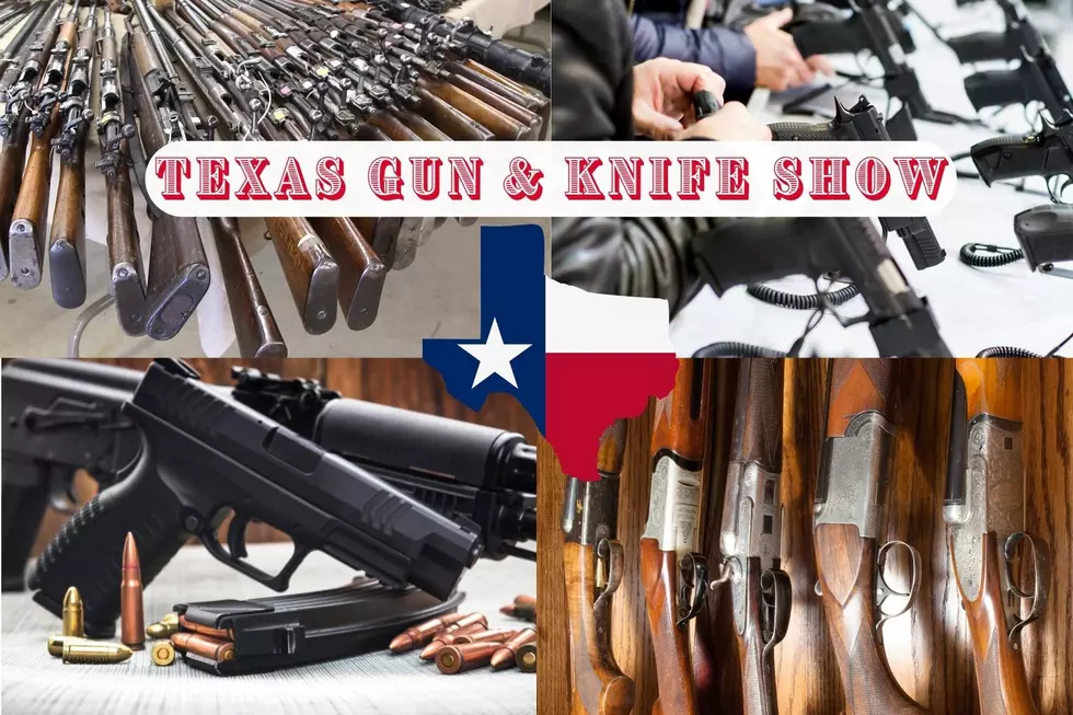 Texas Gun Owners Are Buying More Firearms However Gun Ownership Is Down