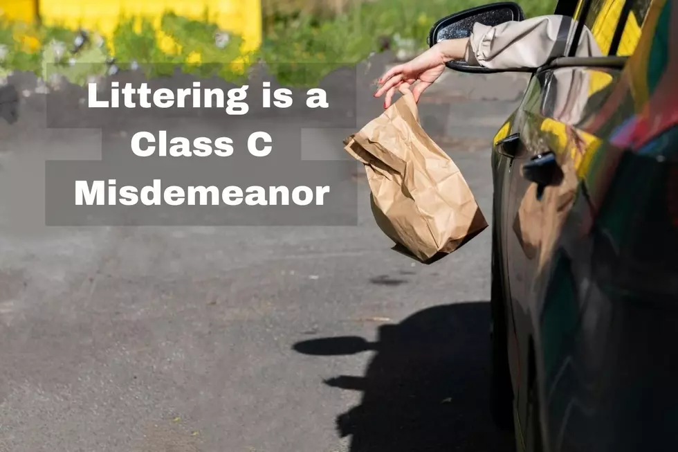 Some Abilene Drivers Are Litterbugs So What Is the Fine for Littering?