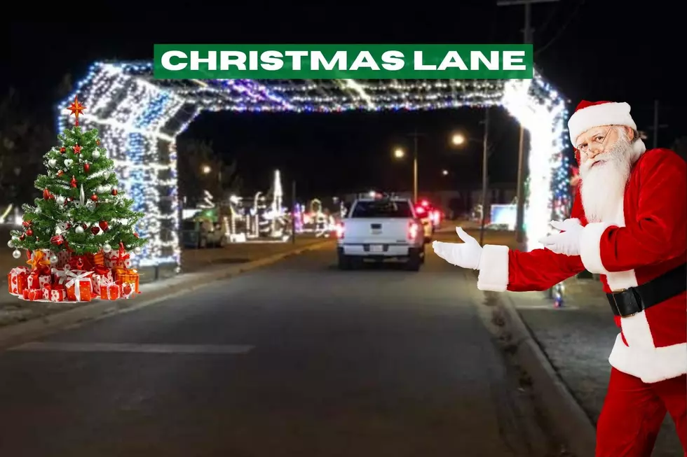 Christmas Lane Is Back Drive and Walk Through It's All Free
