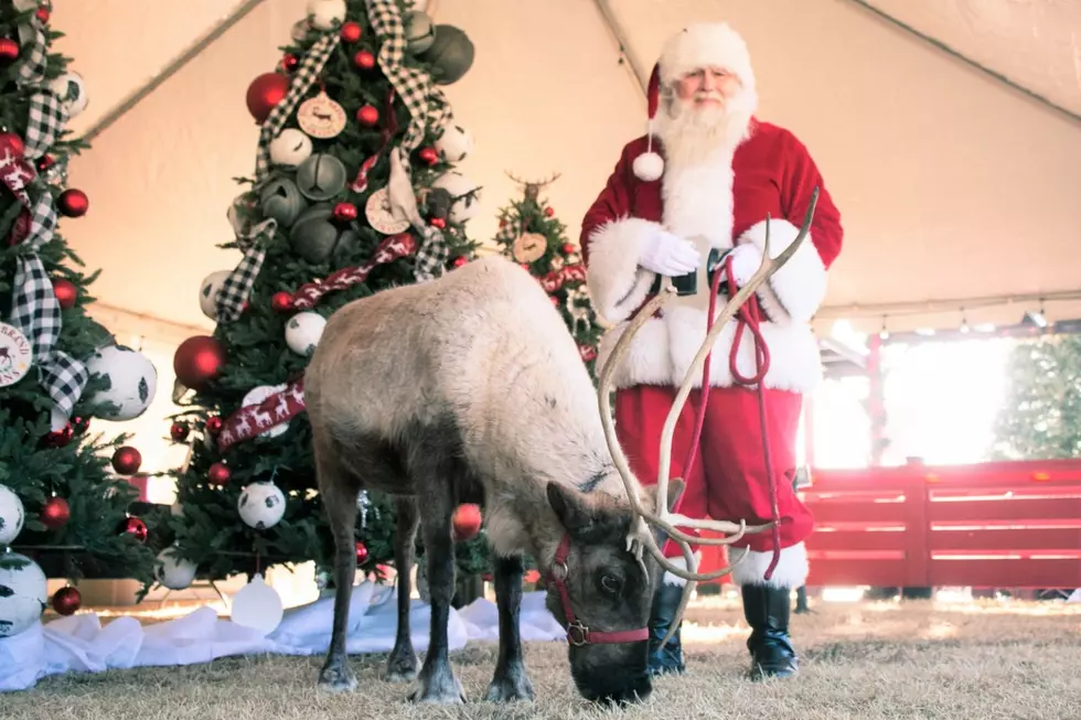 Jingle All the Way: Santa, Reindeer, and Real-est Grinch at West Texas Zoo