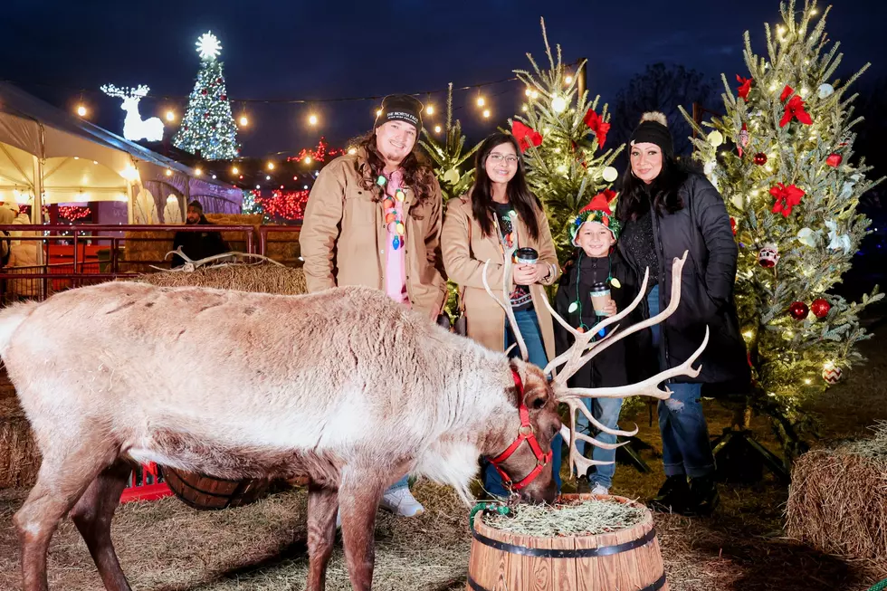 Abilene Zoo Cancels its Christmas Event to Keep Animals Safe and Warm