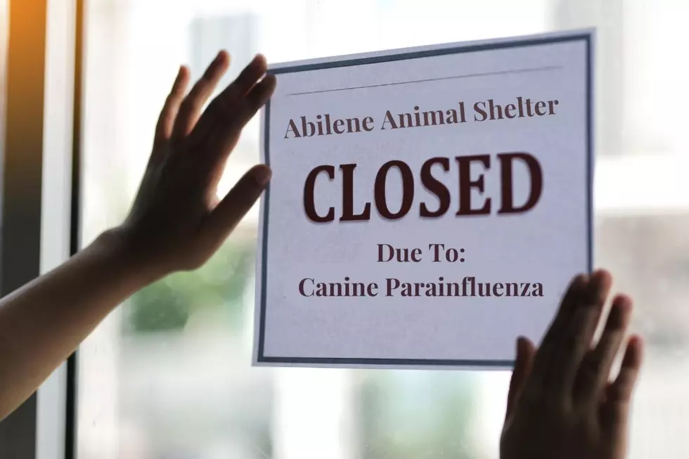 The Abilene Animal Shelter Is Closed Down Again Due to Illness