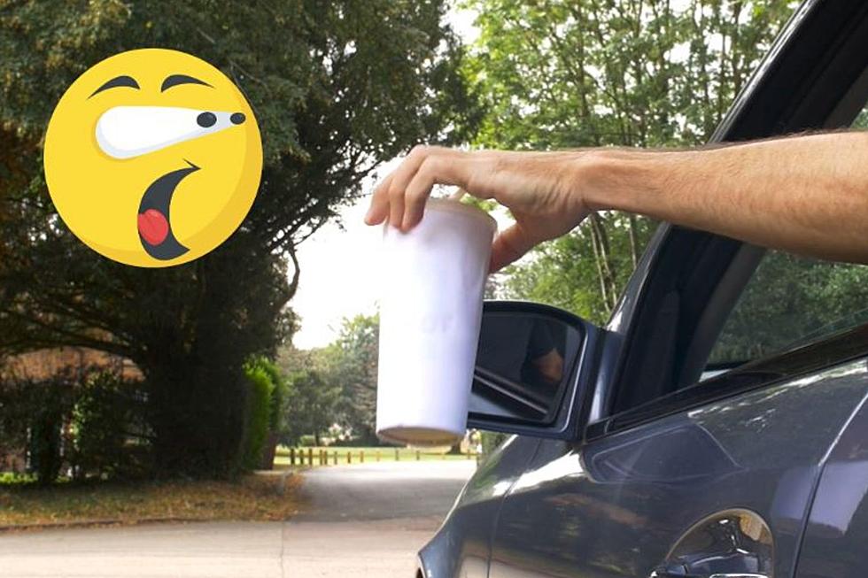There’s Only Three Things You Can Legally Litter From Your Car