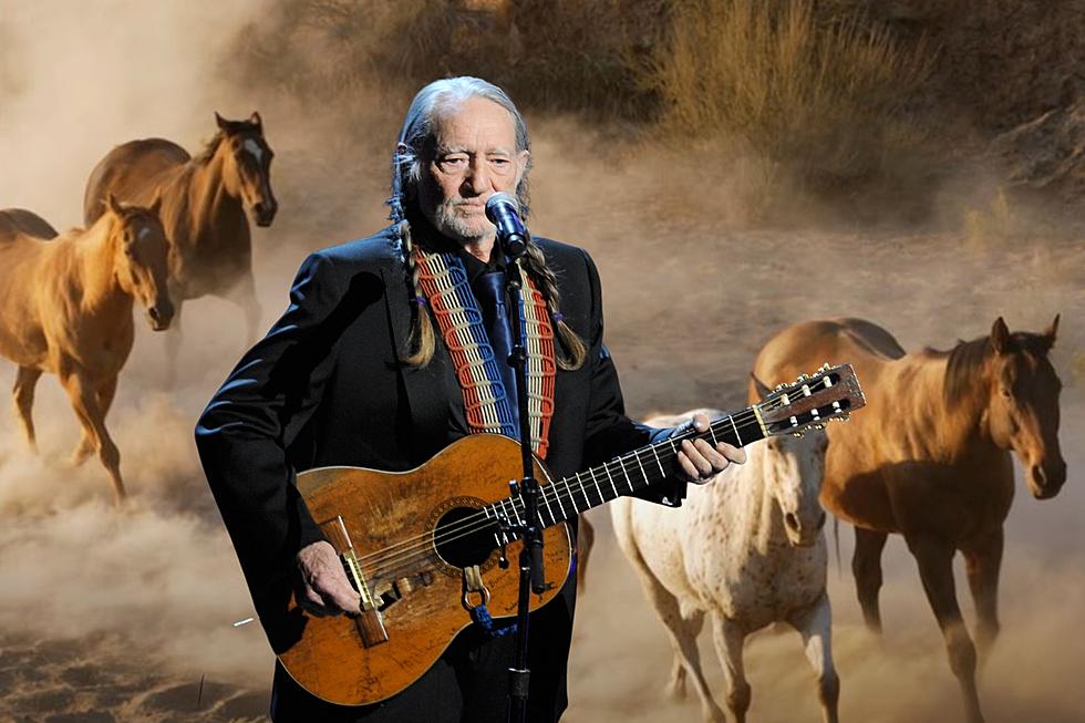 Willie Nelson Has A Horse Rescue Ranch in the Texas Hill Country