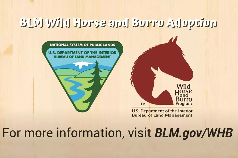 Photo by: BLM / YouTube Video