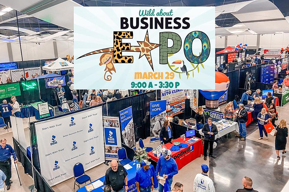 Connect With Other Great Businesses at This Years Abilene Business Expo