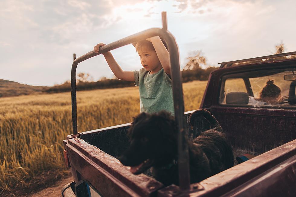 Is It Legal for Texans to Ride in the Bed of a Pickup or Trailer?