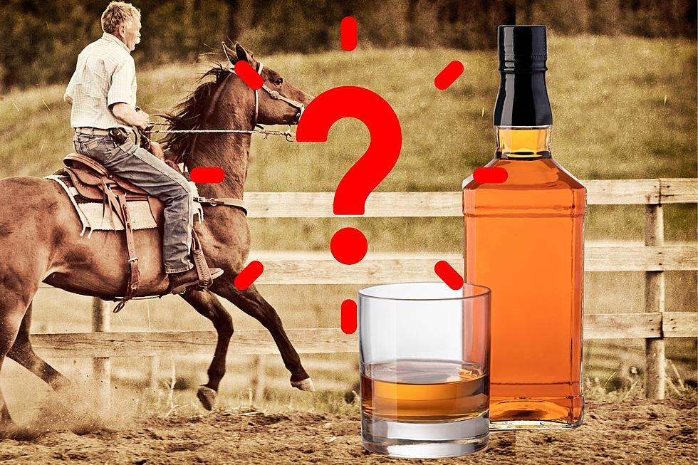 Is It Illegal to Ride a Horse While Under the Influence in Texas?