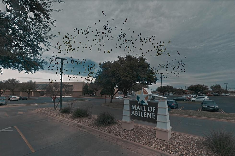 One Texas Town&#8217;s Battle of the Bats: The True Facts You Need To Know
