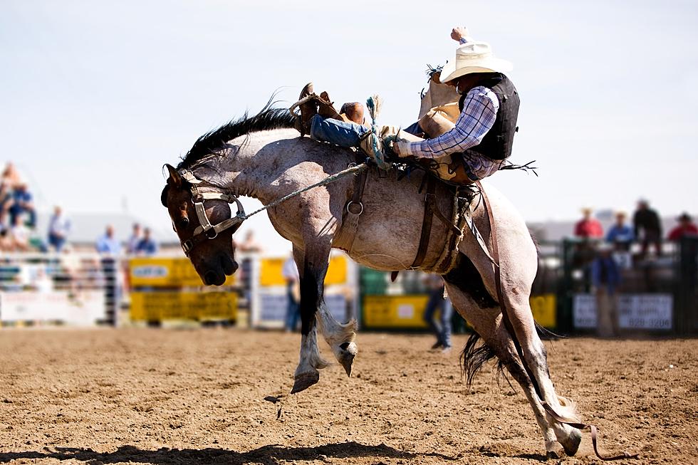 Bronc Rider Dies While Competing at the West Texas Fair and Rodeo