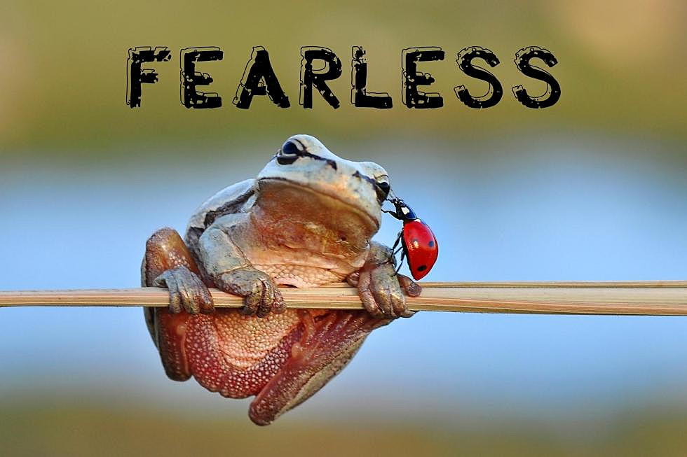 What Is It Really Like to Live Fearless? Here’s What I Believe