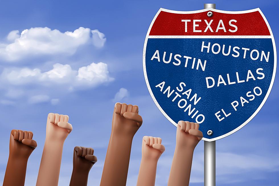 Surprise! Texas Is One of the Most Diverse States in America
