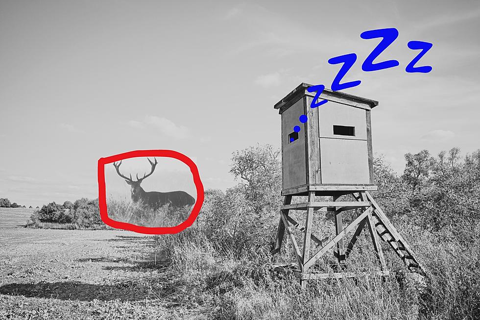 Fearless Fave Five: 5 Common Mistakes Texas Deer Hunters Make
